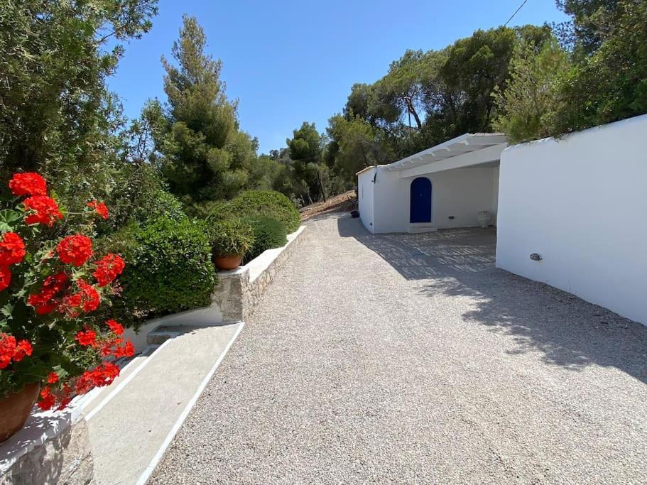 Retreat Villa By The Sea With Pool In Porto Cheli Buitenkant foto