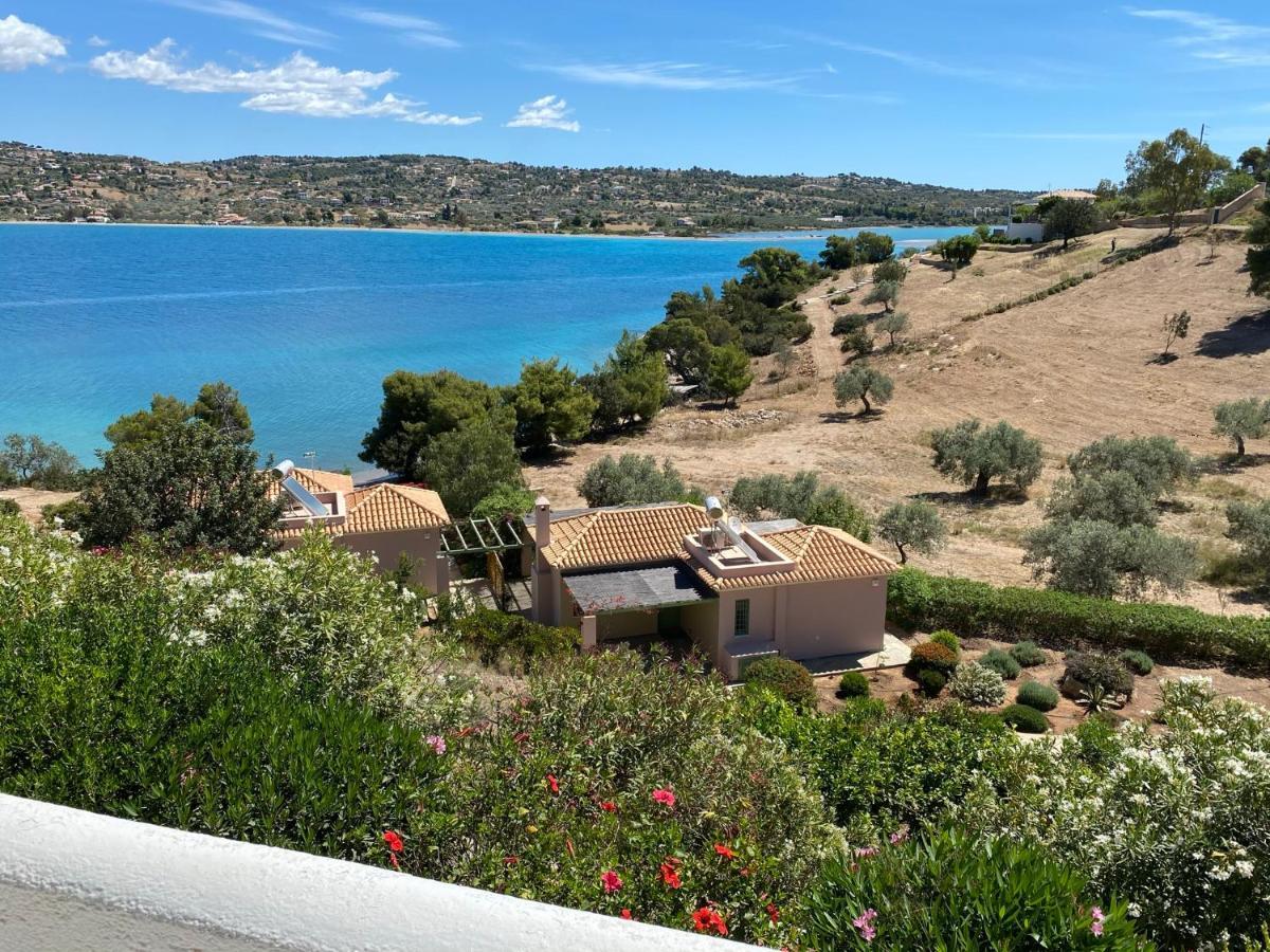 Retreat Villa By The Sea With Pool In Porto Cheli Buitenkant foto