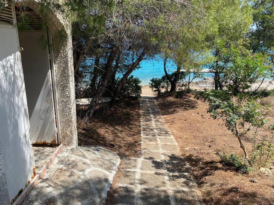 Retreat Villa By The Sea With Pool In Porto Cheli Buitenkant foto